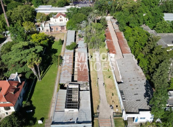 imagen  de la propiedad 72735
