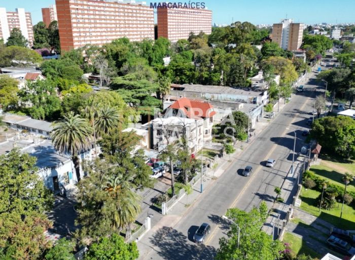 imagen  de la propiedad 72735