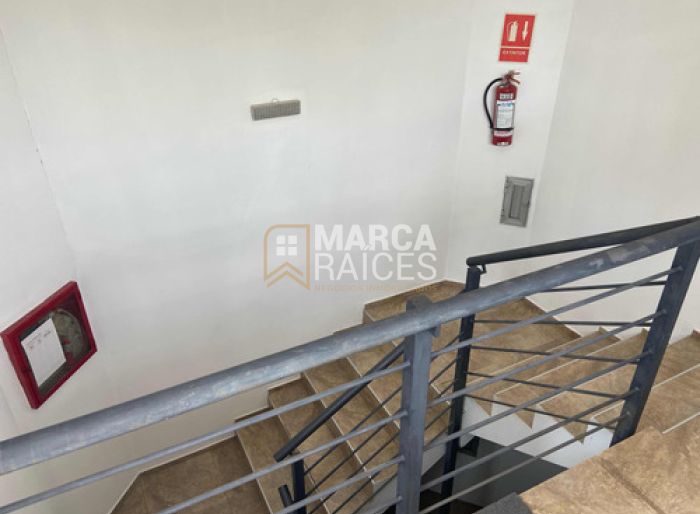 imagen  de la propiedad 82335