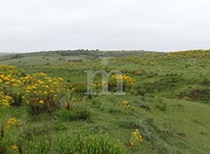 imagen  de la propiedad 167275