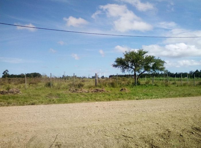 imagen  de la propiedad 95056