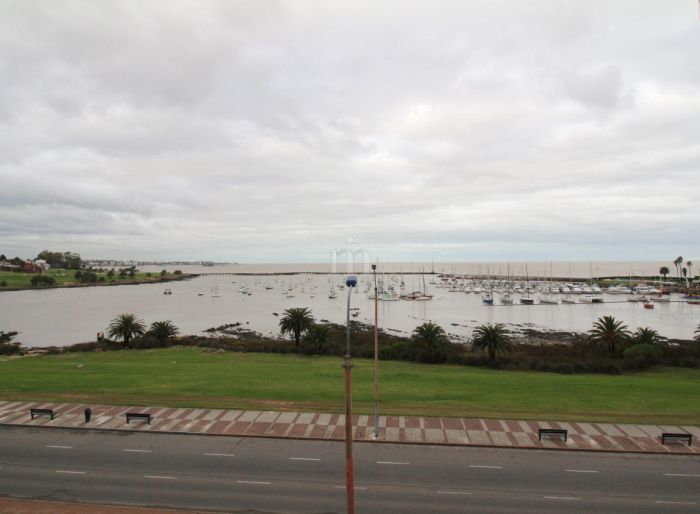 imagen  de la propiedad 95116