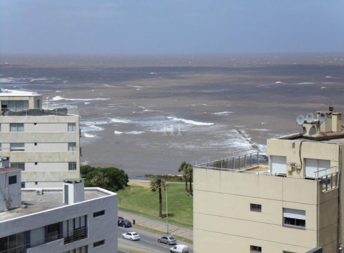 imagen  de la propiedad 95154