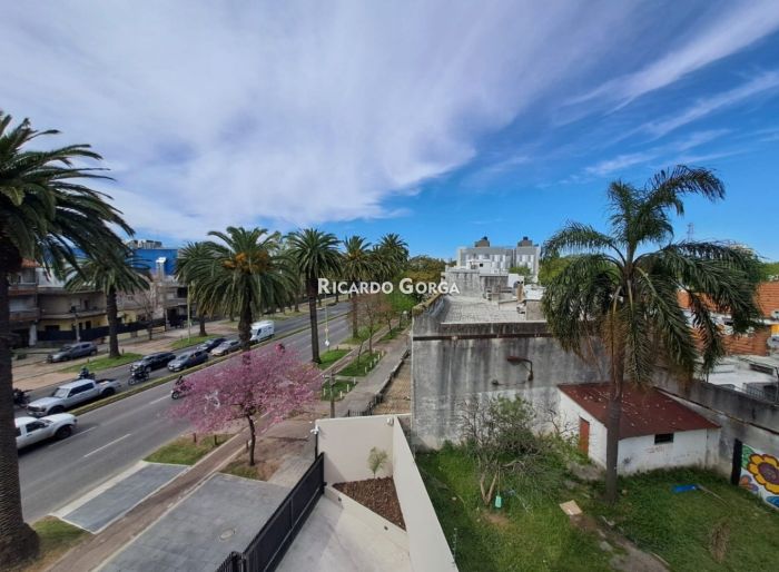 imagen  de la propiedad 141181
