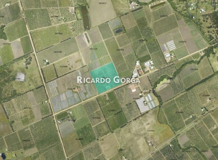 imagen  de la propiedad 163564