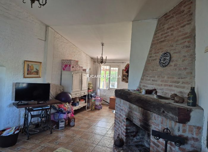 imagen  de la propiedad 163564