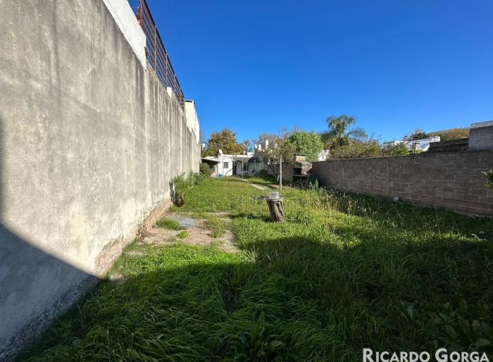 imagen  de la propiedad 89963