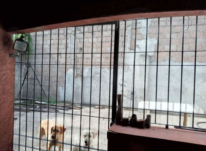 imagen  de la propiedad 90020