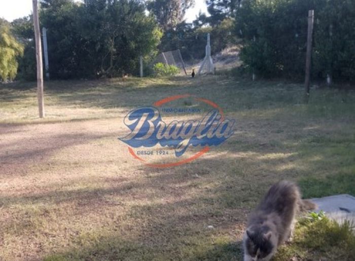 imagen  de la propiedad 112519