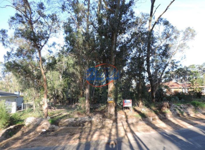 imagen  de la propiedad 145057