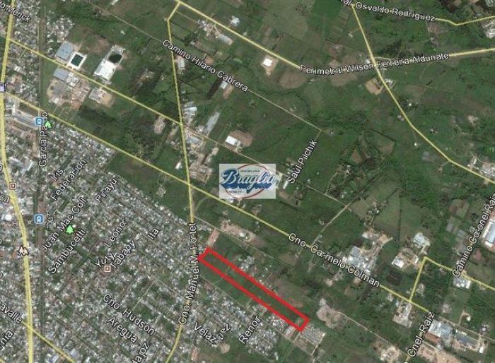 imagen  de la propiedad 155404