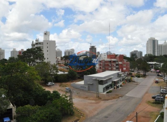 imagen  de la propiedad 97733