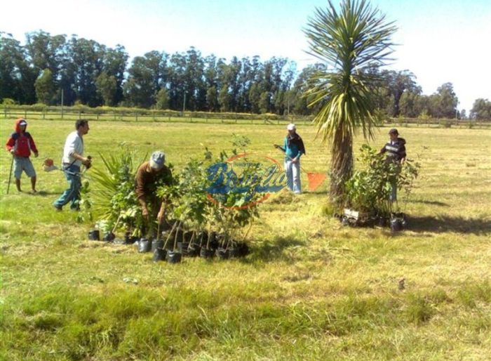 imagen  de la propiedad 97764
