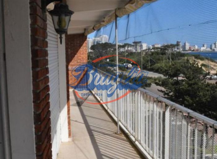 imagen  de la propiedad 97784