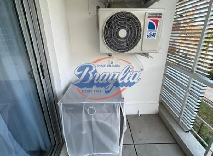 imagen  de la propiedad 97795