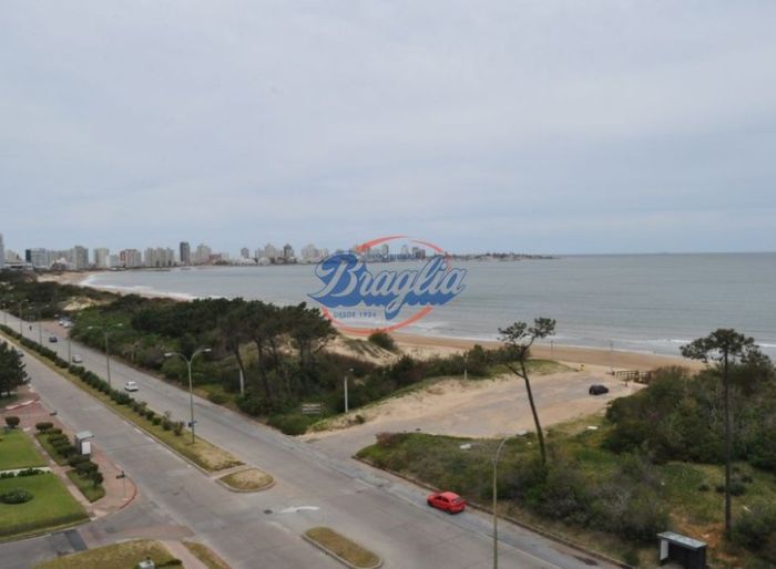 imagen  de la propiedad 97812