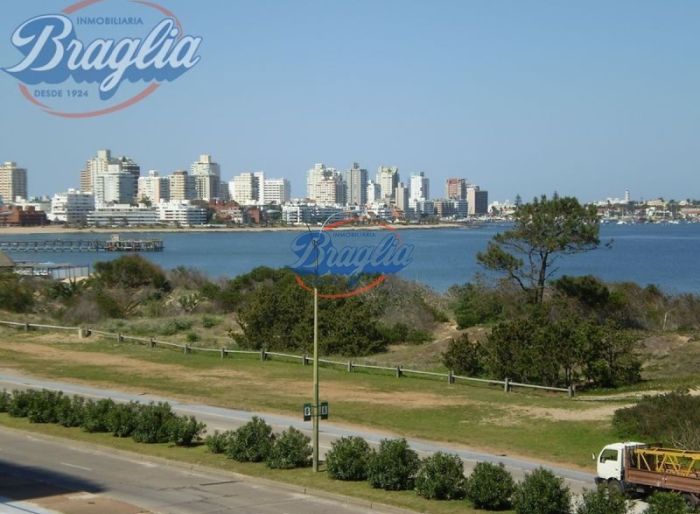 imagen  de la propiedad 97820