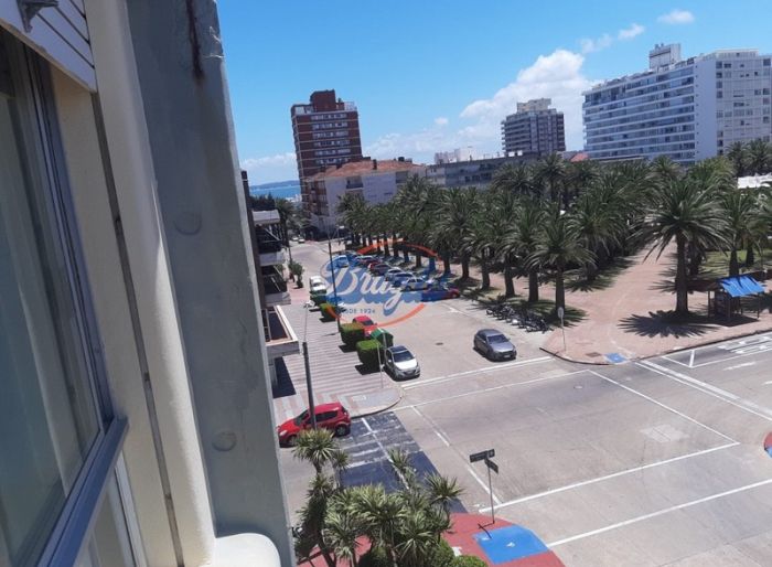 imagen  de la propiedad 97842