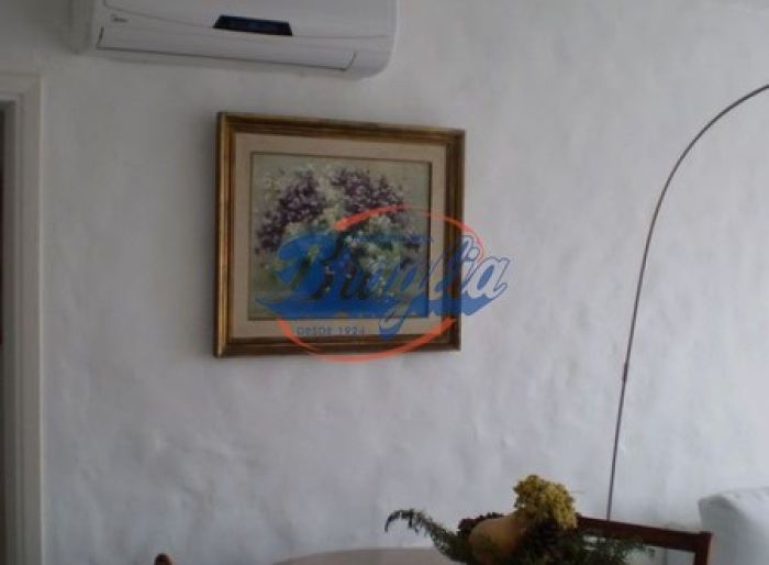 imagen  de la propiedad 97888