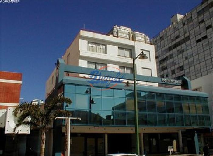 imagen  de la propiedad 97914