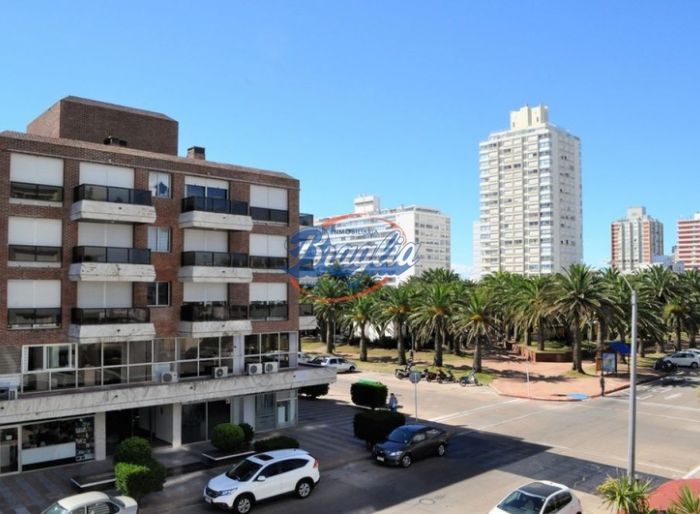imagen  de la propiedad 97950