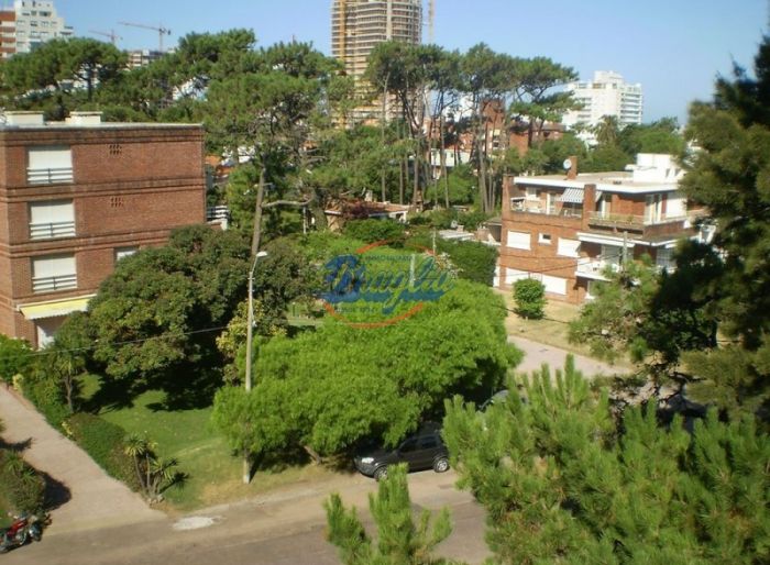 imagen  de la propiedad 97989