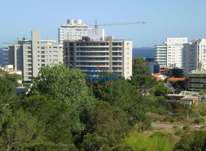 imagen  de la propiedad 97992