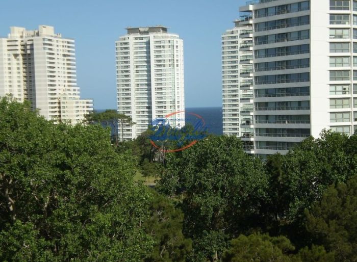 imagen  de la propiedad 97992