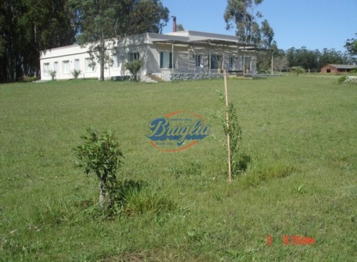 imagen  de la propiedad 98014