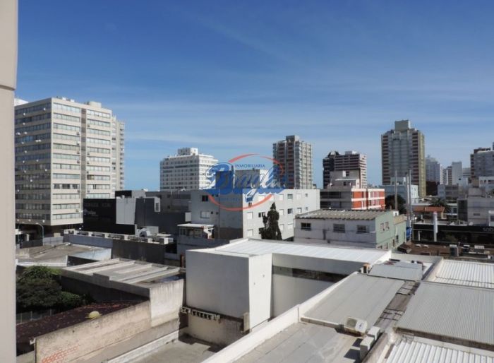 imagen  de la propiedad 98025