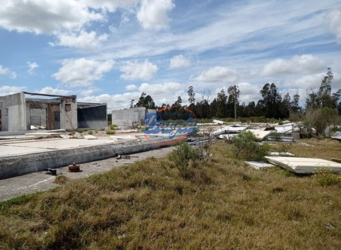 imagen  de la propiedad 98075