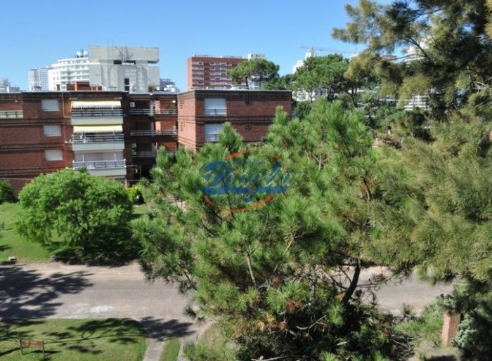 imagen  de la propiedad 98117