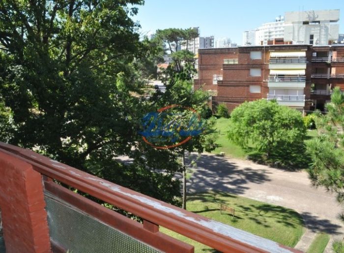 imagen  de la propiedad 98117
