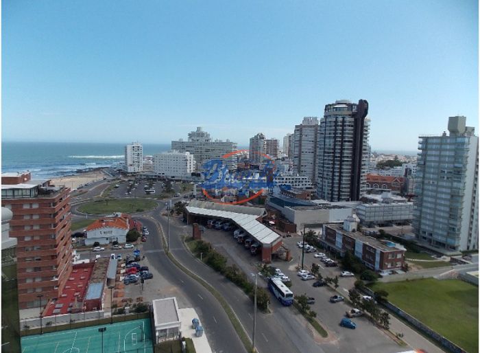 imagen  de la propiedad 98360