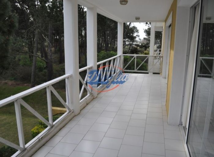imagen  de la propiedad 98381