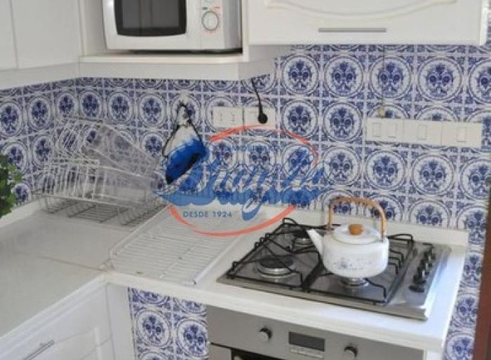 imagen  de la propiedad 98466