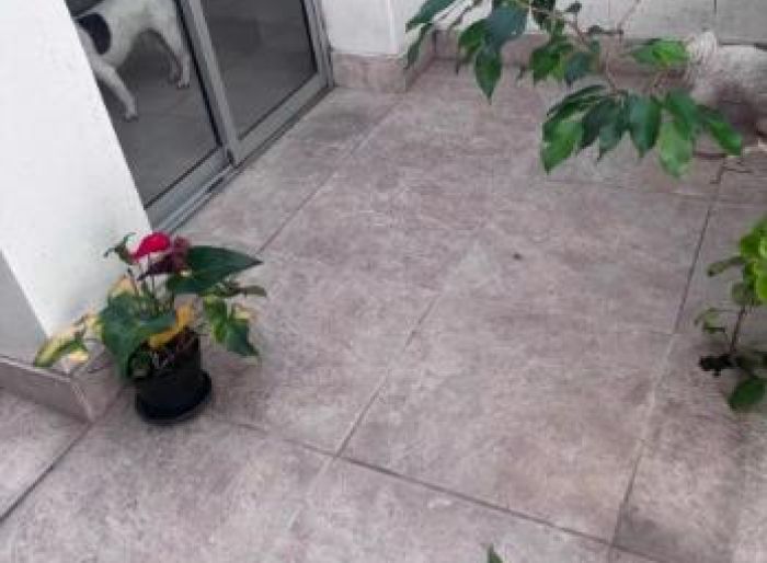 imagen  de la propiedad 145343