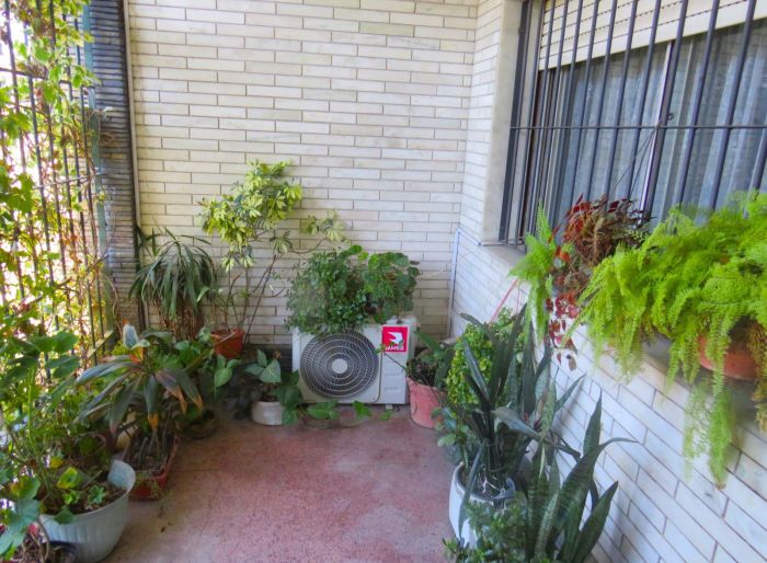 imagen  de la propiedad 91850