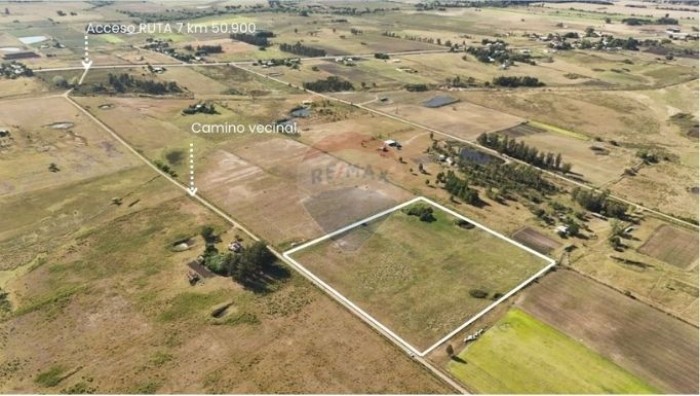 imagen  de la propiedad 155663