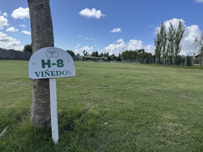 imagen  de la propiedad 165734