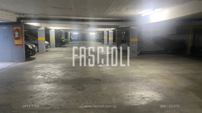 imagen  de la propiedad 155798