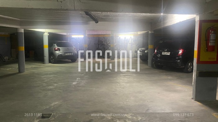 imagen  de la propiedad 155798