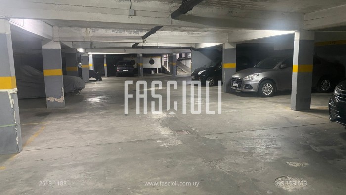 imagen  de la propiedad 155798