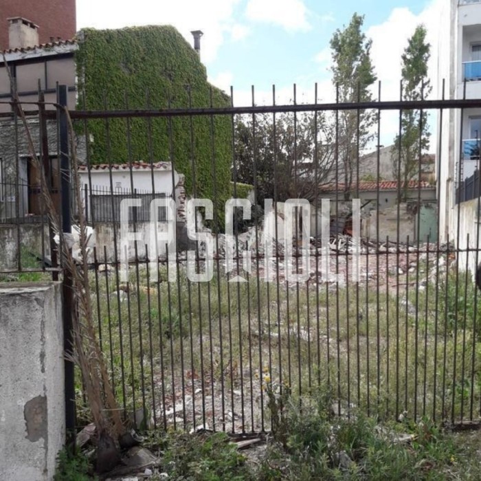 imagen  de la propiedad 91045