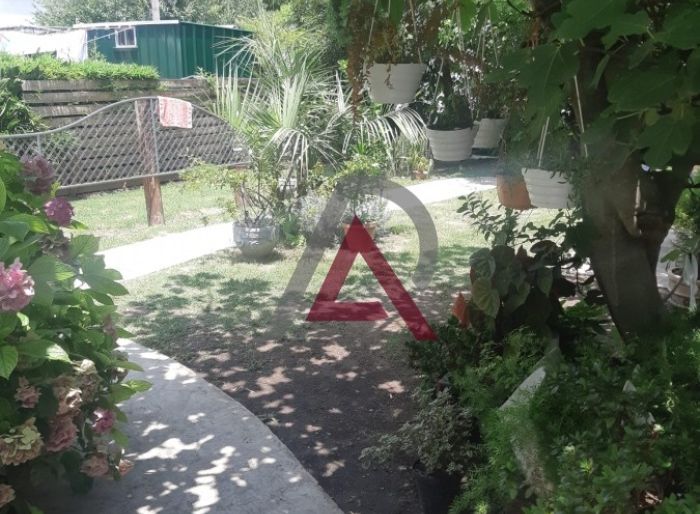 imagen  de la propiedad 82177