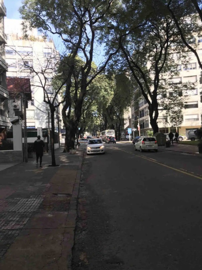 imagen  de la propiedad 119170