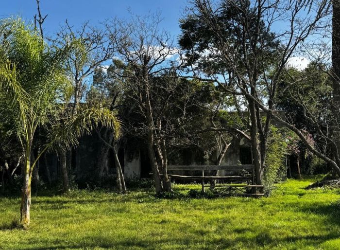 imagen  de la propiedad 185855
