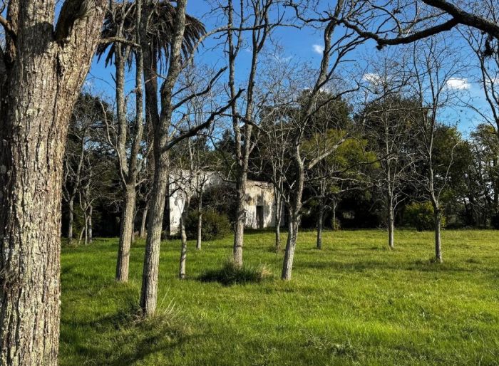 imagen  de la propiedad 185855