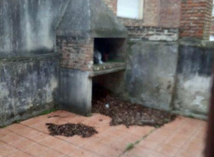 imagen  de la propiedad 127067