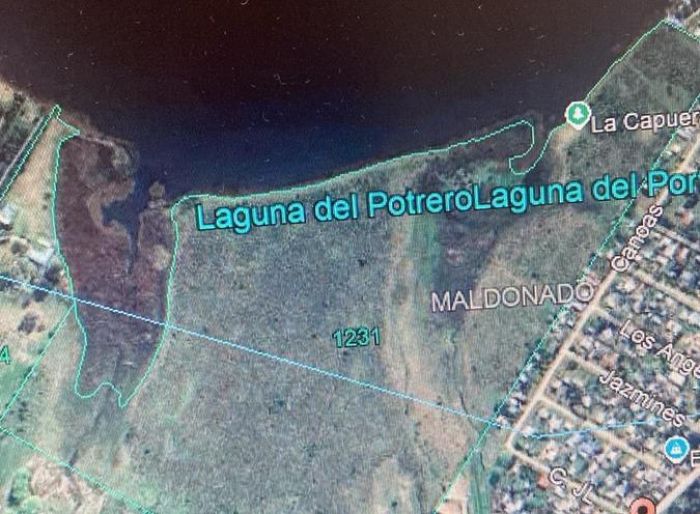 imagen  de la propiedad 175498